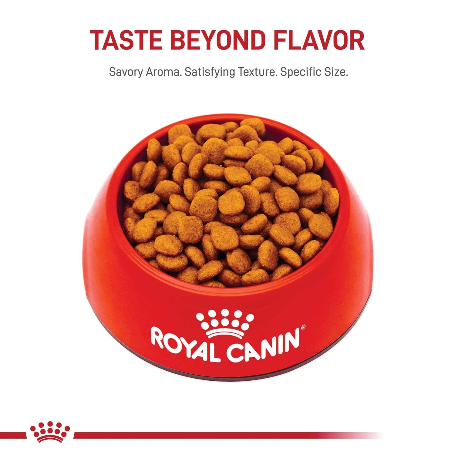 Dry Dog Food for Adult Cavalier King Charles a7
