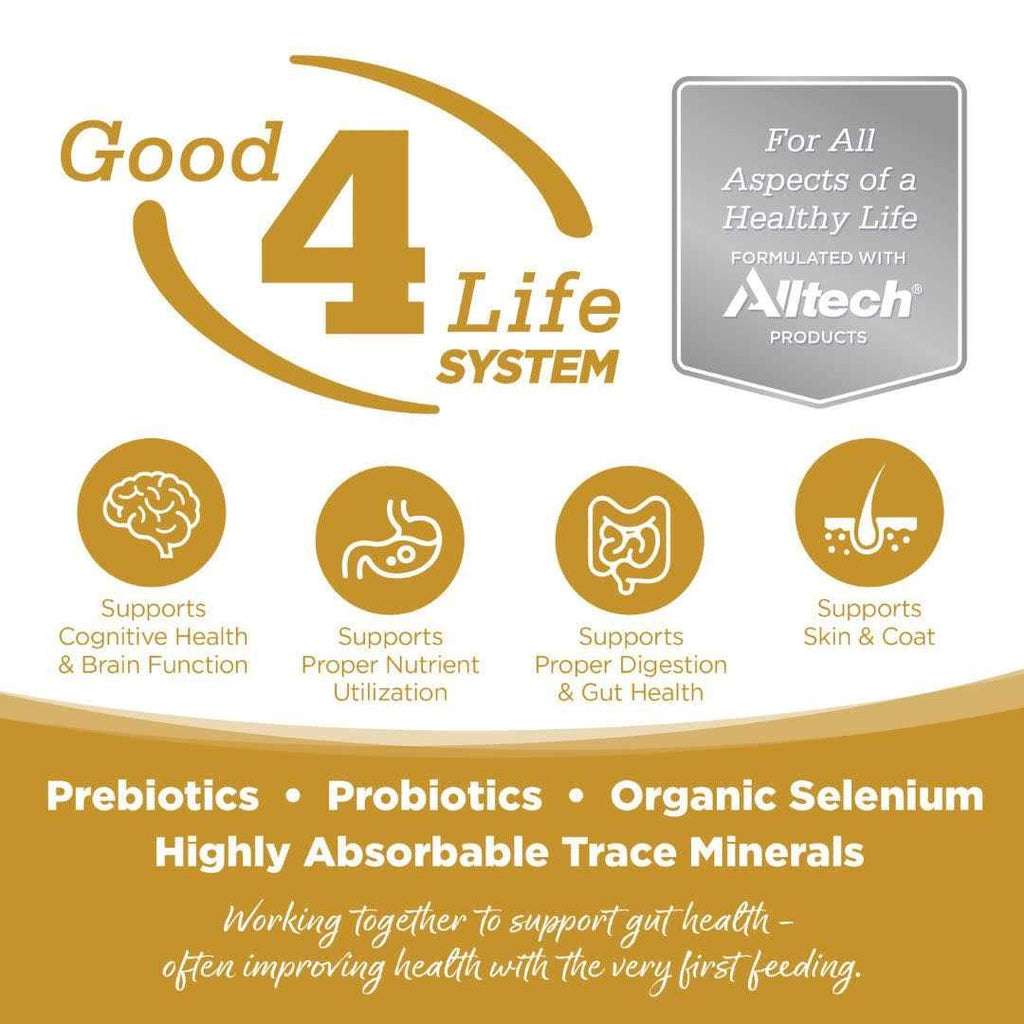 Grain Free Small Bites Dog Food k7m