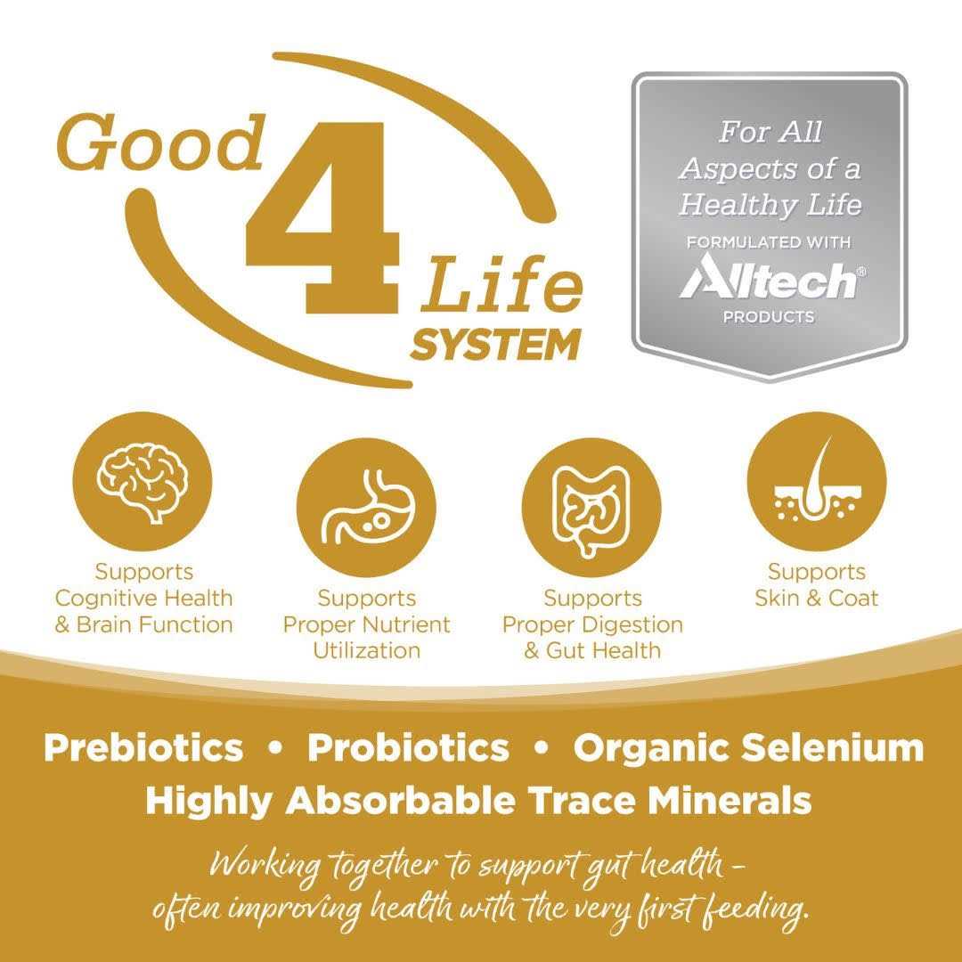 Grain Free Small Bites Dog Food k7m