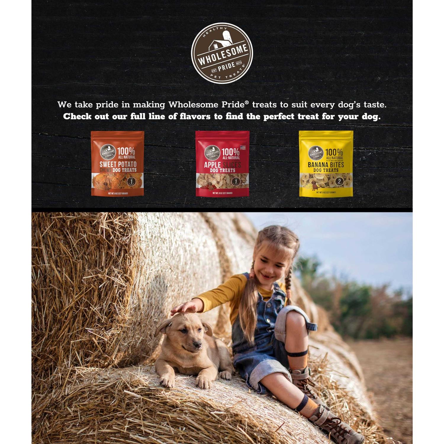 Sweet Potato Chews Dog Treats a7