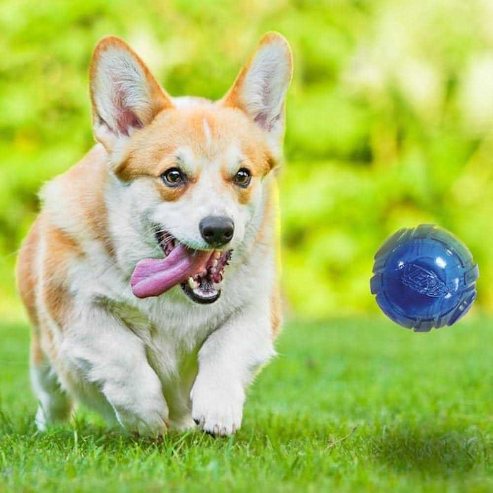 Dog LED Ball Toy for Pets k7