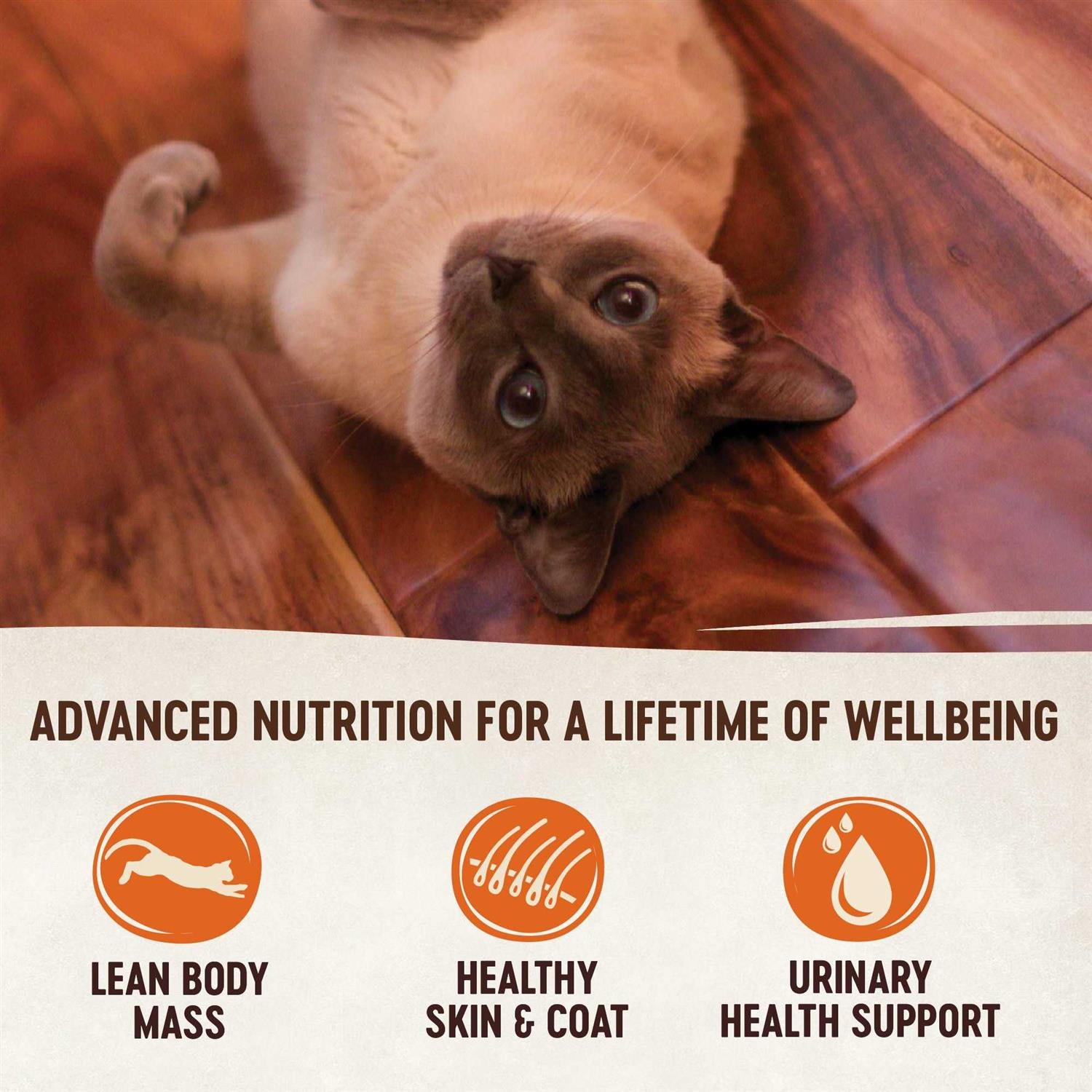 Grain-Free Chicken Turkey & Liver Pate Canned Cat Food k7