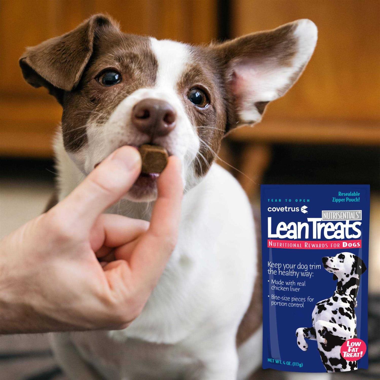 Dog Treats Pet Supplies k7m