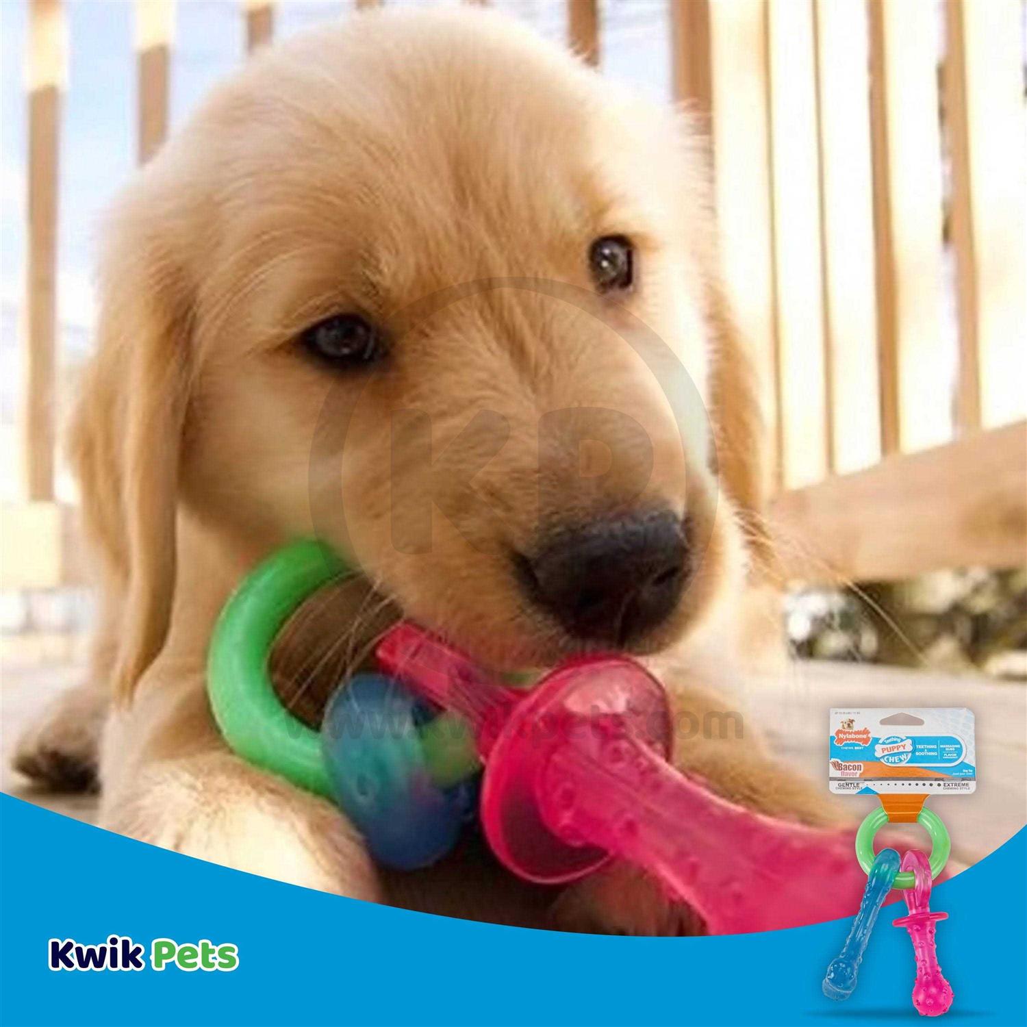 Puppy Chew Teething Pacifier Pet Supplies a7