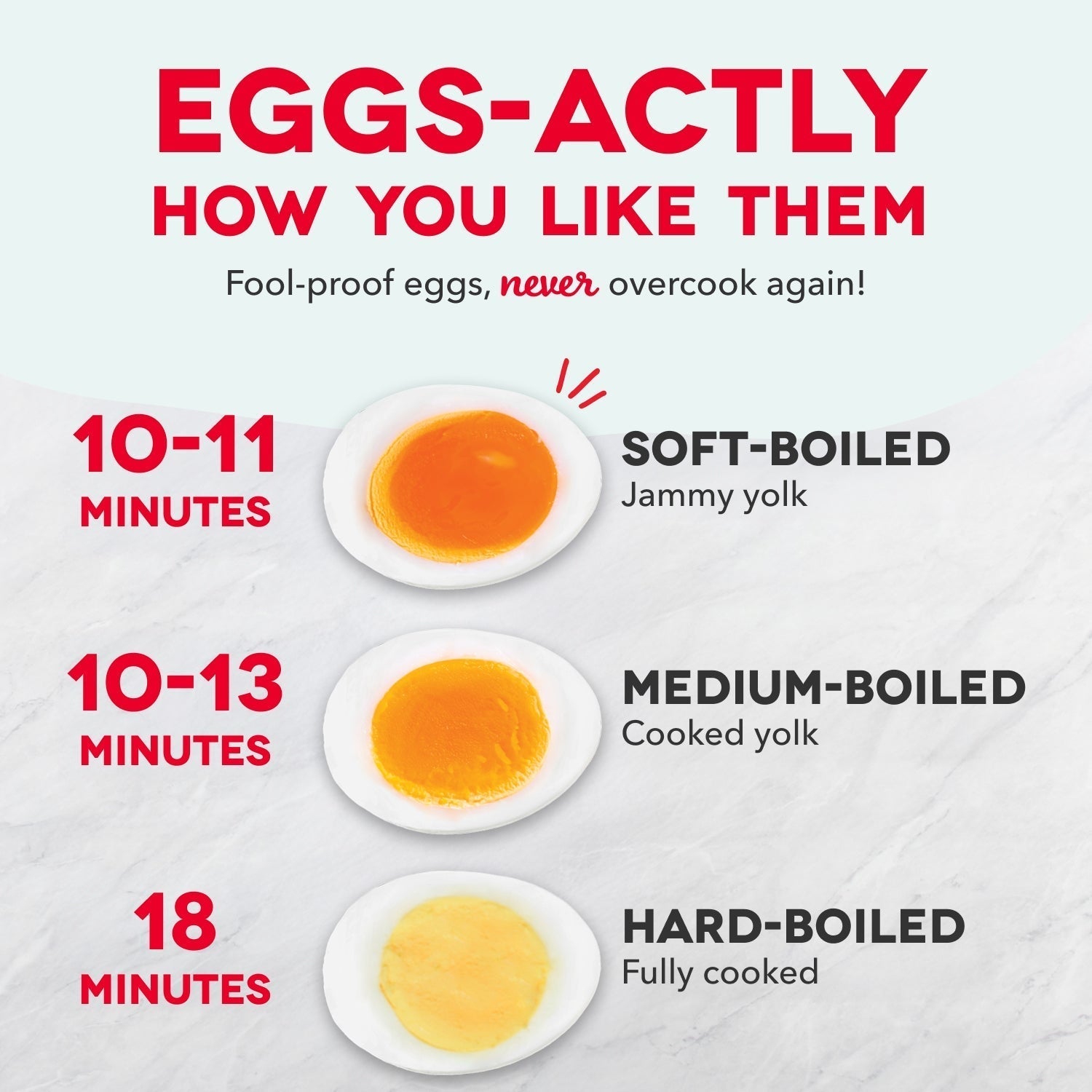 16pc Egg Cooker J4　D3 x8