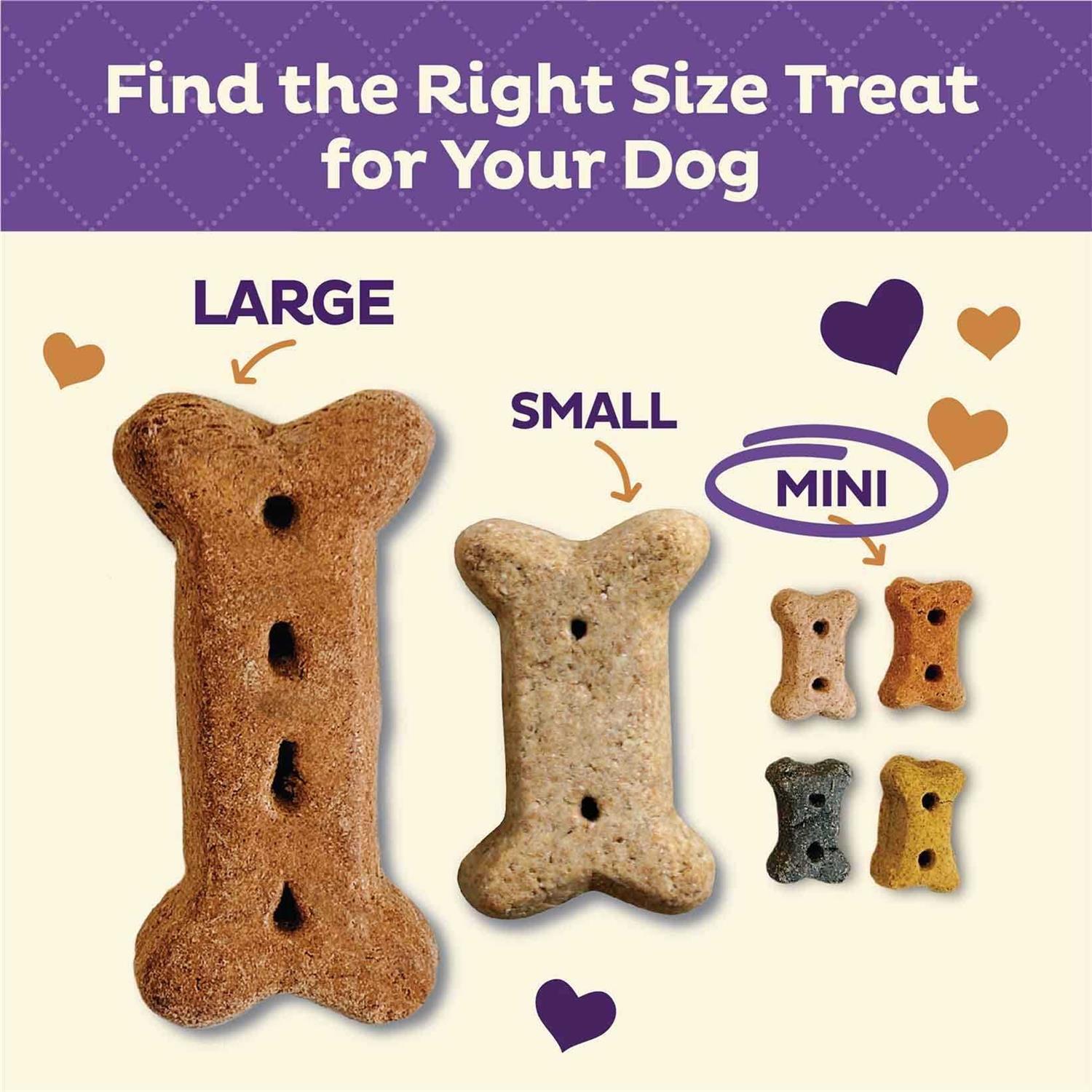 Dog Biscuits Mini Treats a7