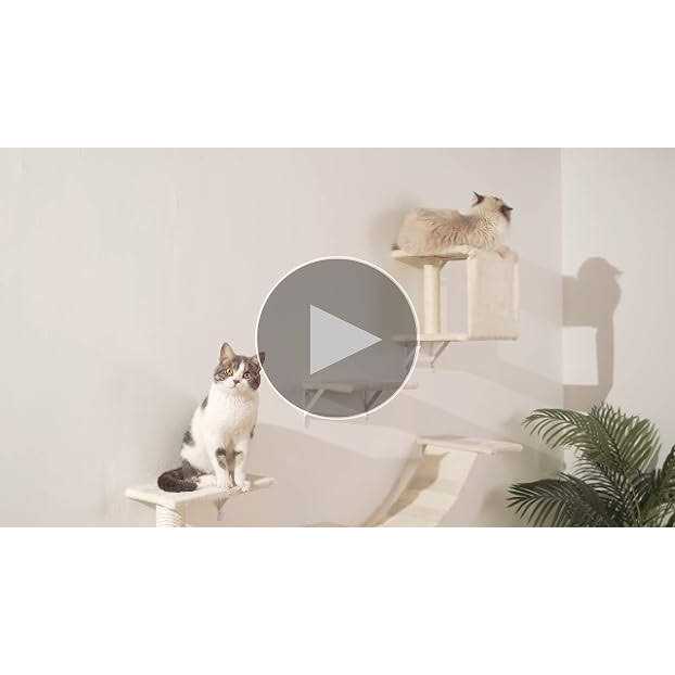 Wall-Mounted Cat Shelves 5pcs Wooden Climber Set k7