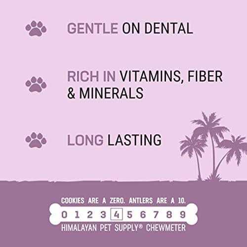 Dog Chew Coconut Bone a7