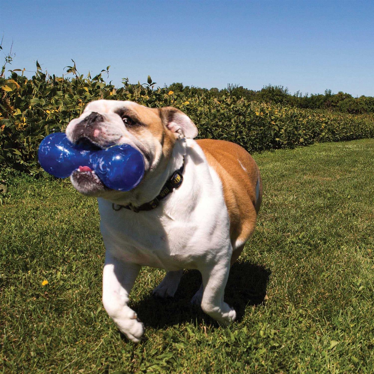 Dog Dumbbell Chew Toy a7