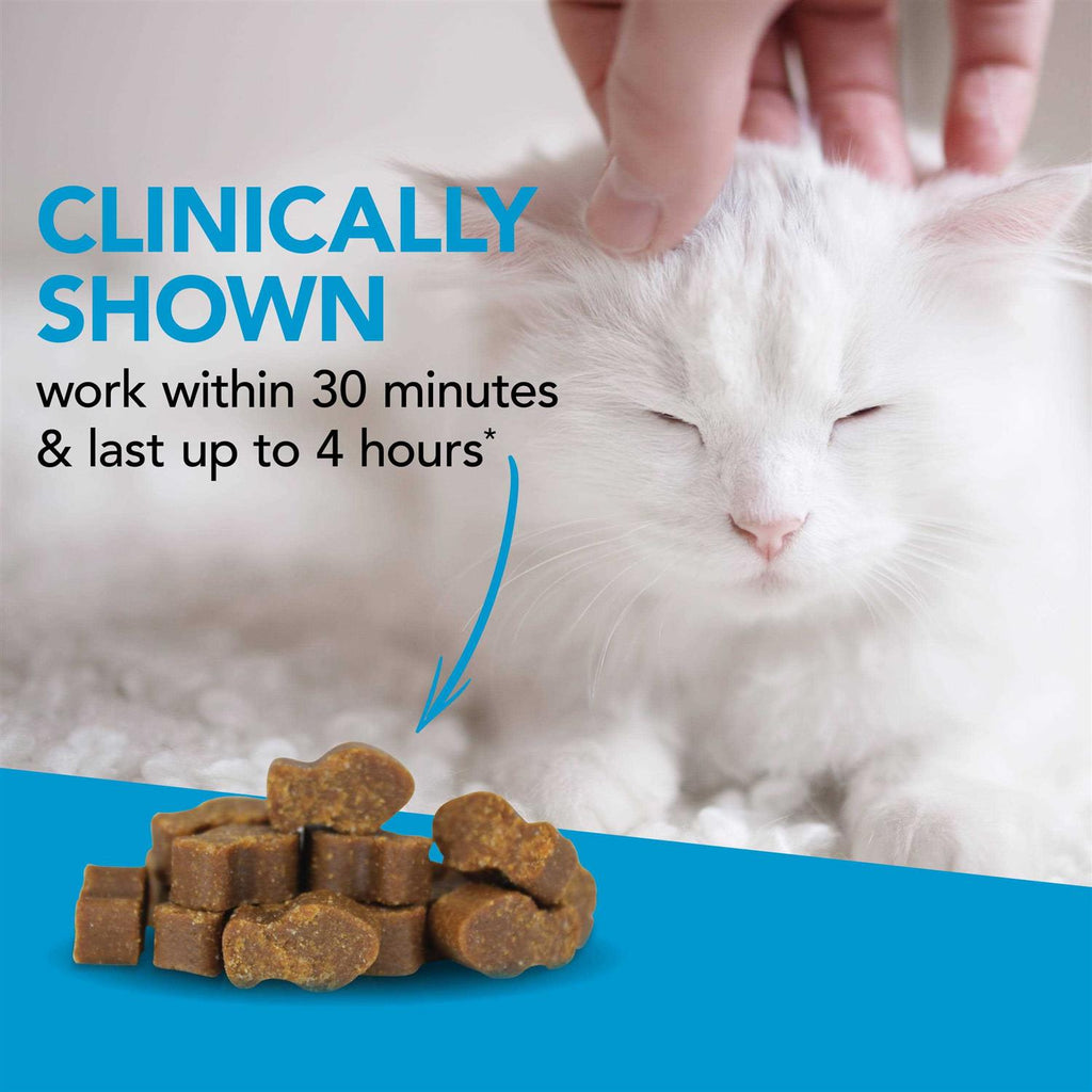 Cat Calming Supplement Pet Supplies k7m