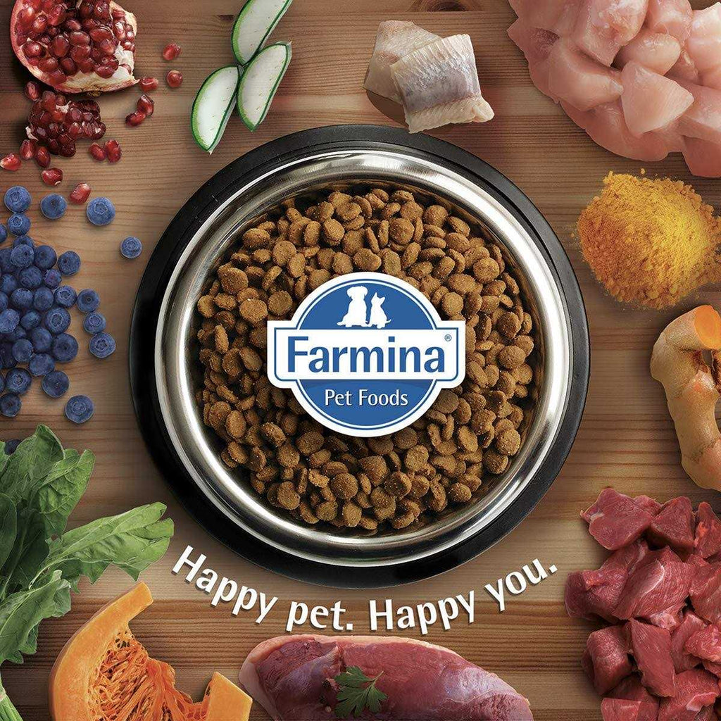 Chicken & Pomegranate Dry Dog Food k7m