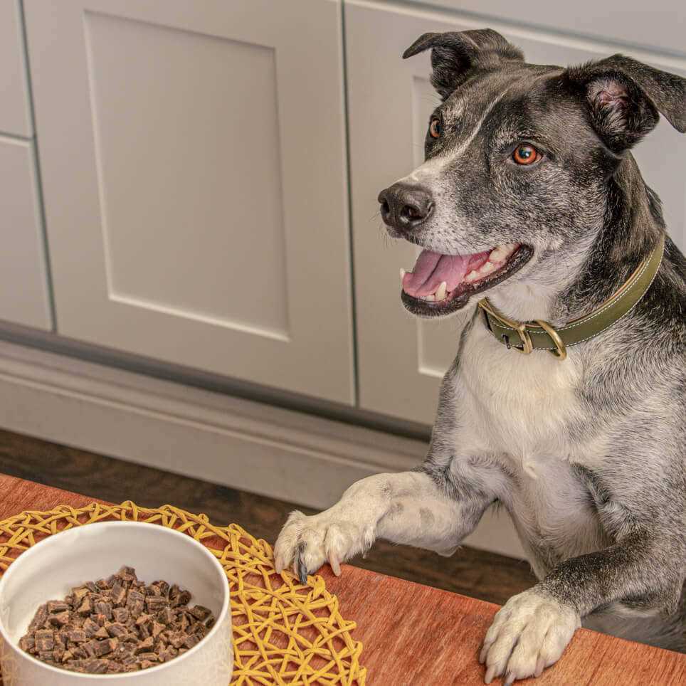 Air Dried Chicken Dog Food Superfood Complete k7