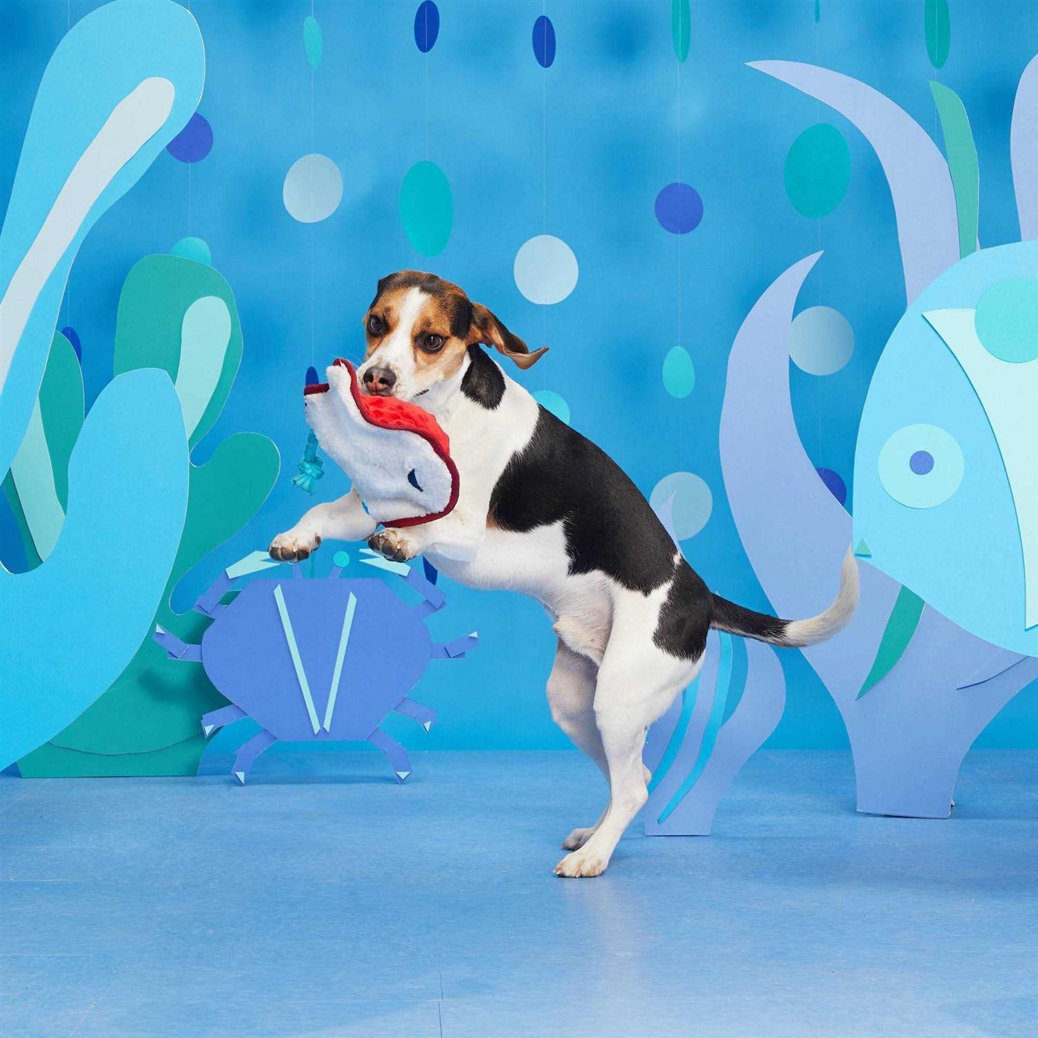 Dog Toy for Pets k7m