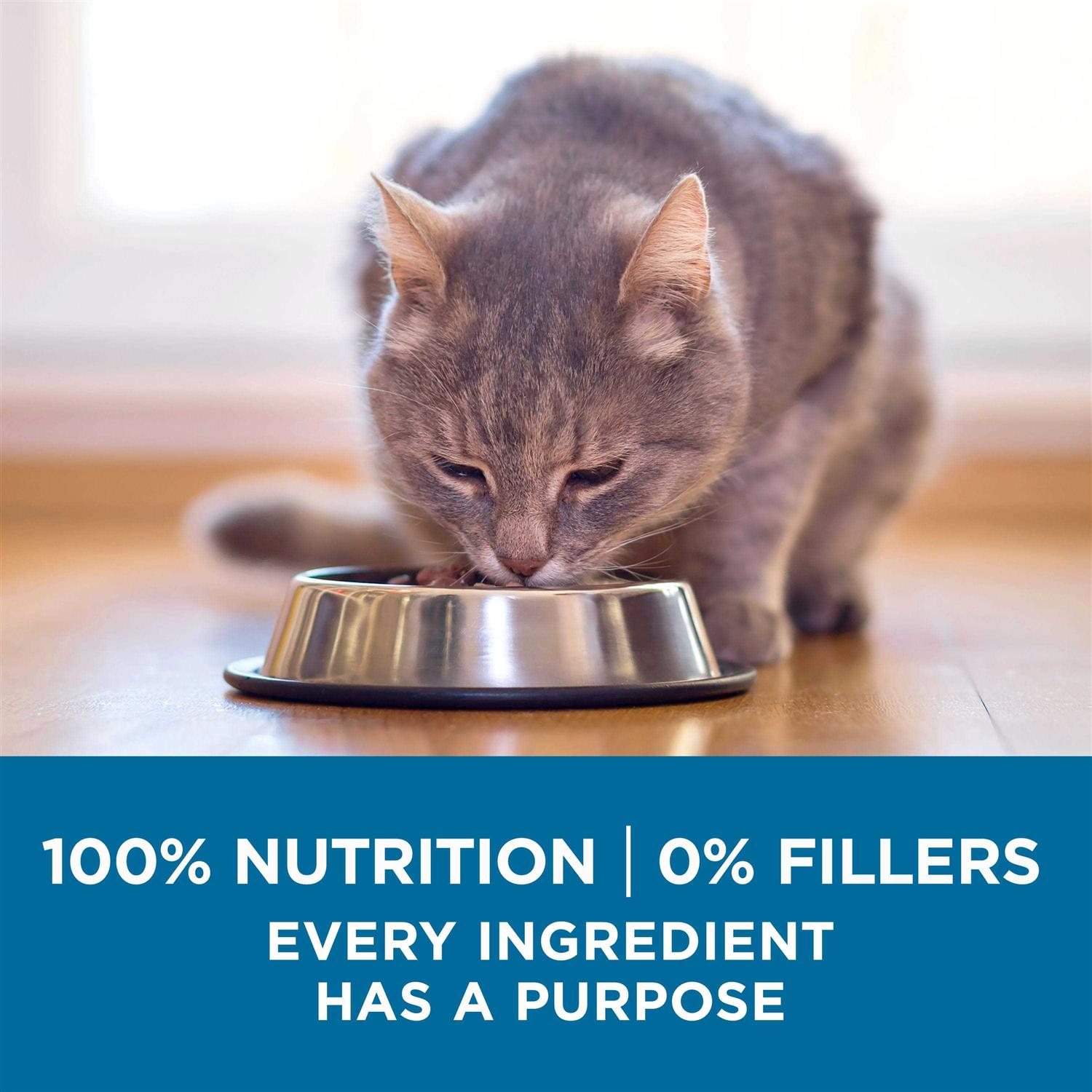 Senior Dry Cat Food High Protein k7