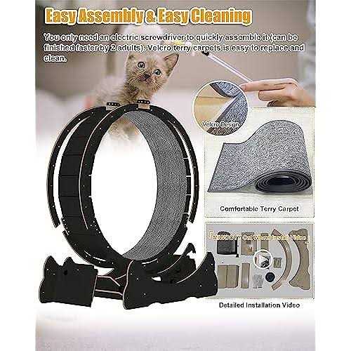 Cat Exercise Wheel 40 inch Solid Wood Indoor k7