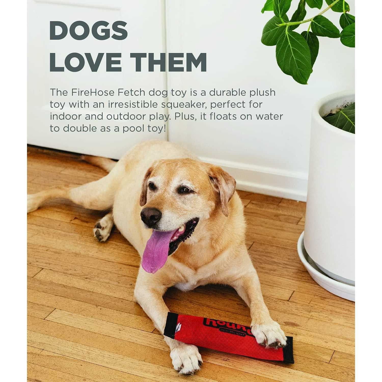 Dog Toy for Fetching a7