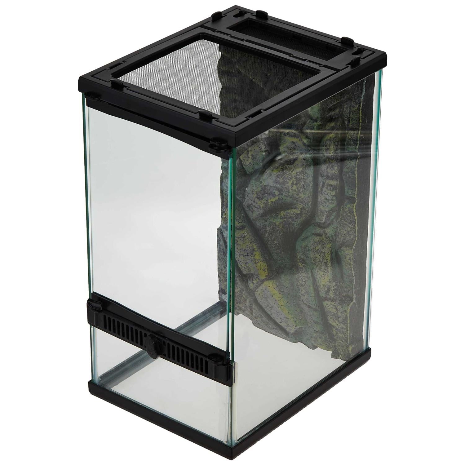 Terrarium with Rock Foam Background k7m