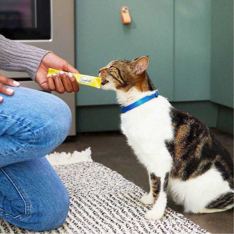 Creamy Puree Lickable Cat Treats k7p
