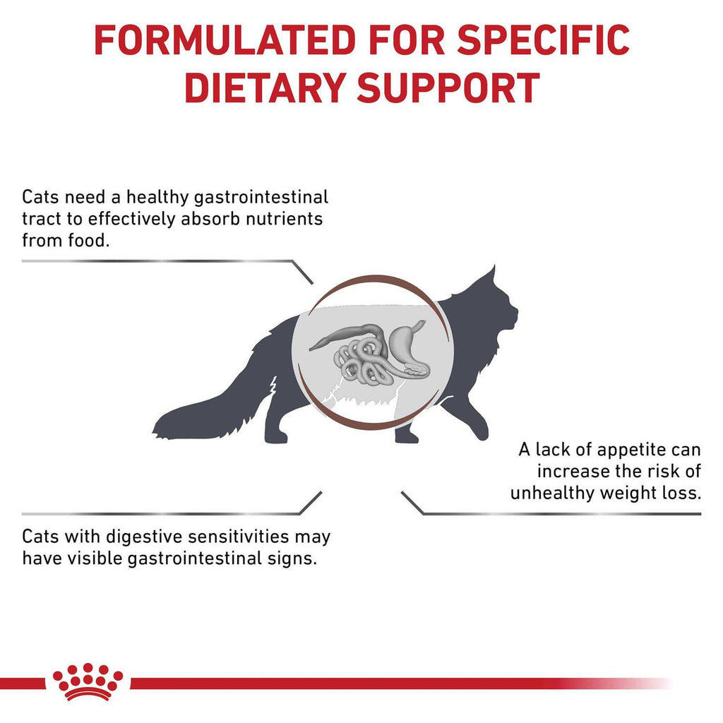 Dry Cat Food for Digestive Care k7m