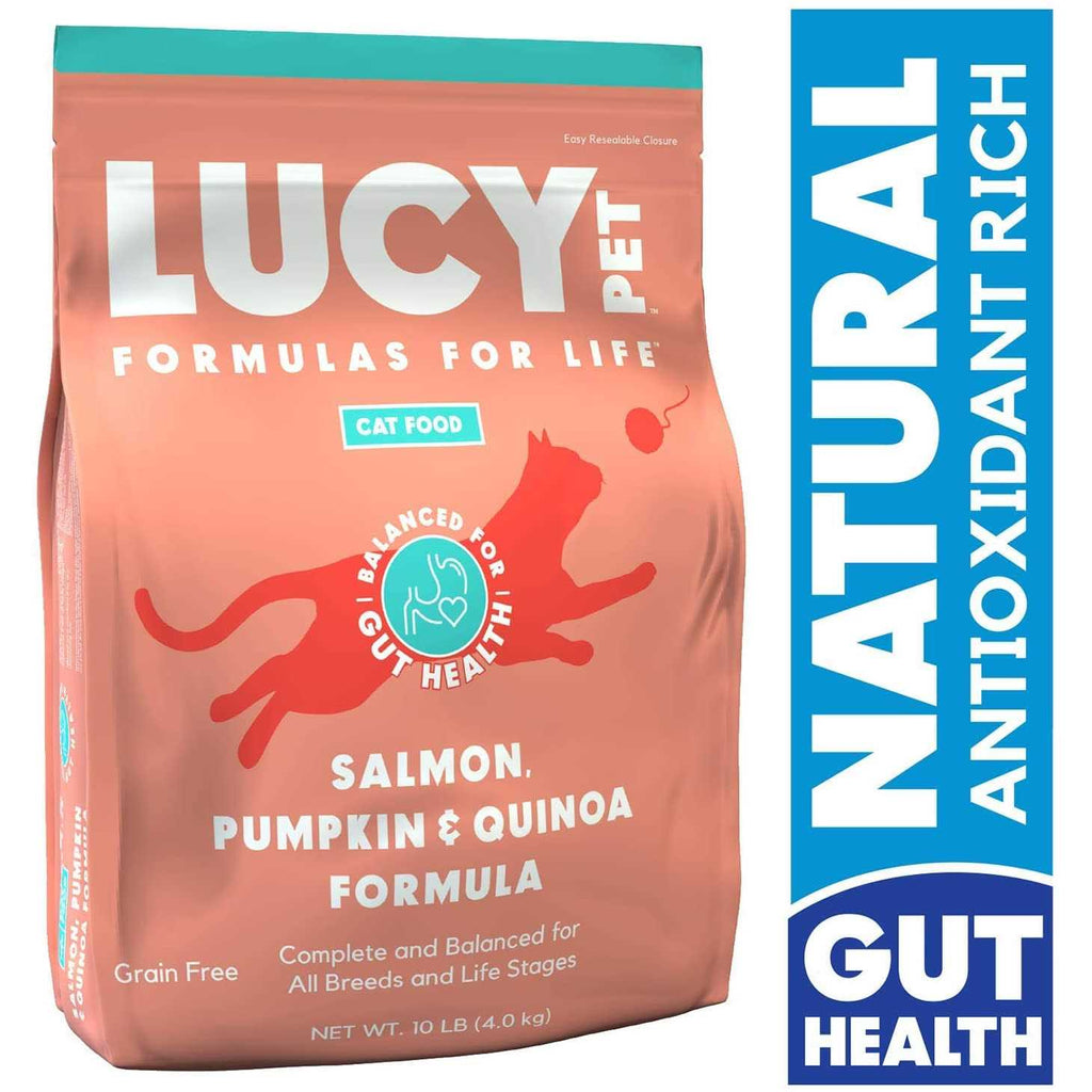 Dry Cat Food Salmon Salmon Recipe k7