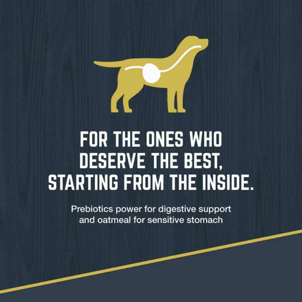Dog Food Chicken Meal Brown Rice Formula k7m