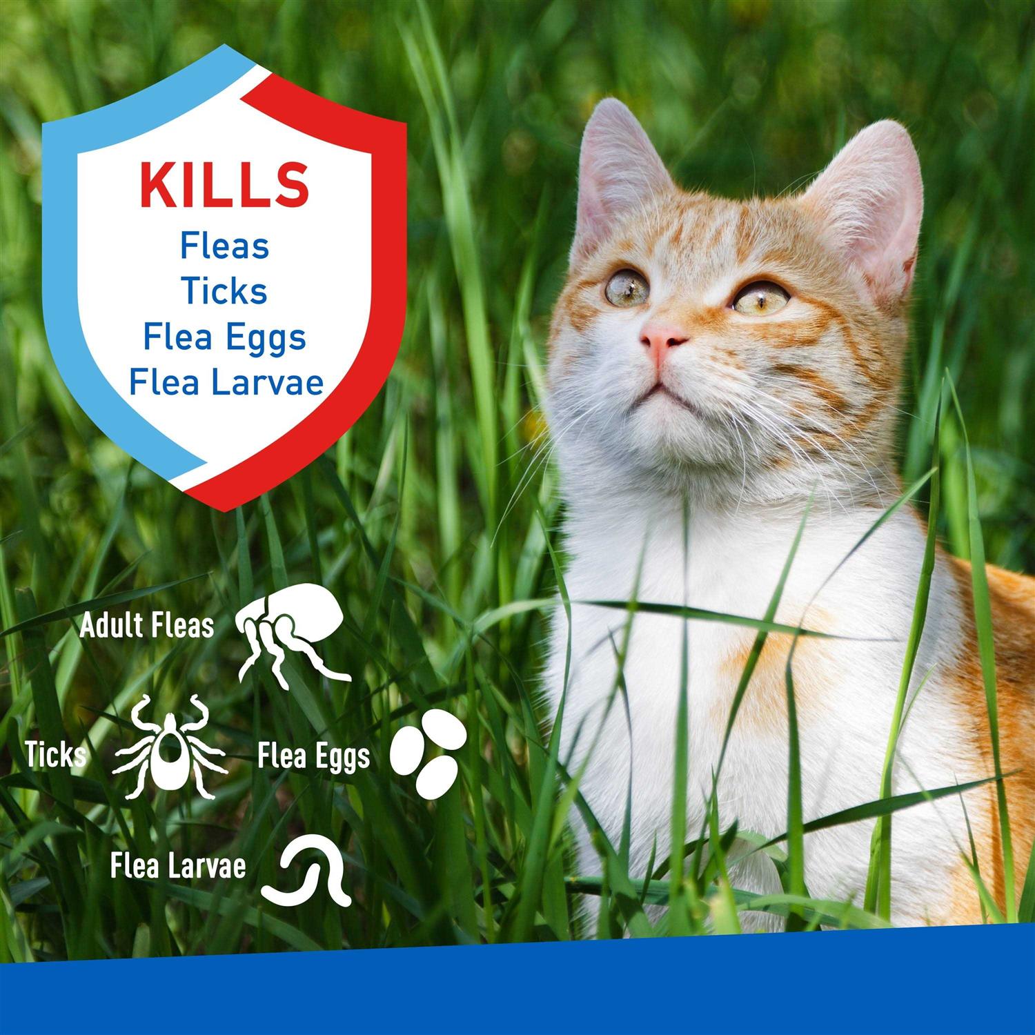 Flea and Tick Spray for Cats a7