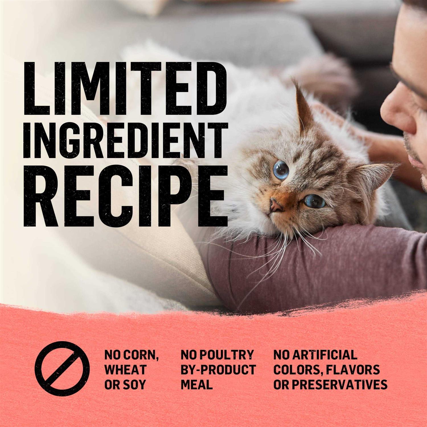 Dry Cat Food Indoor Salmon Salmon Recipe a7
