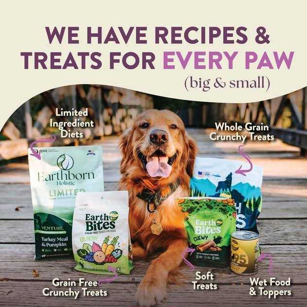 Roasted Lamb with Ancient Grains Dry Dog Food k7m