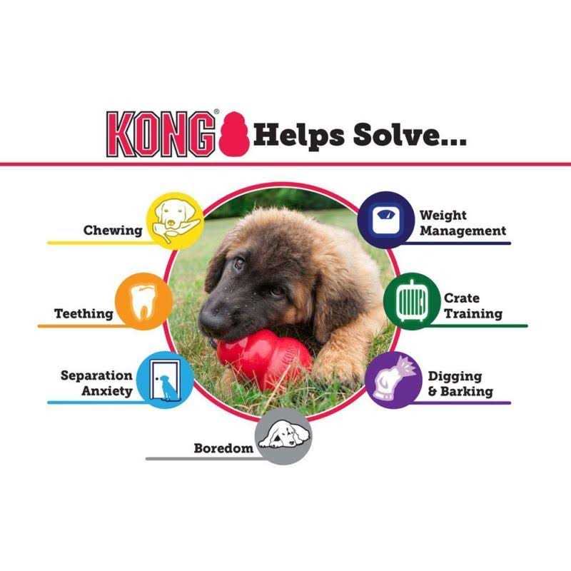 Dog Toy for Senior Dogs a7
