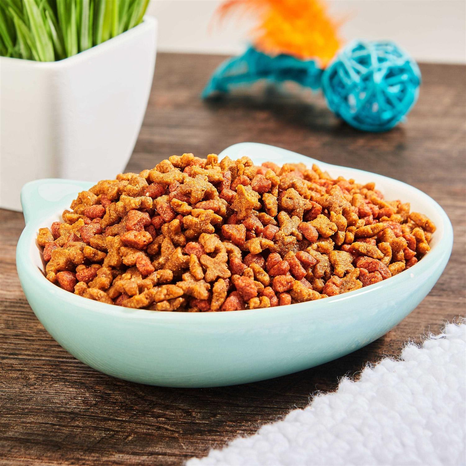 Dry Cat Food Kitten Formula a7
