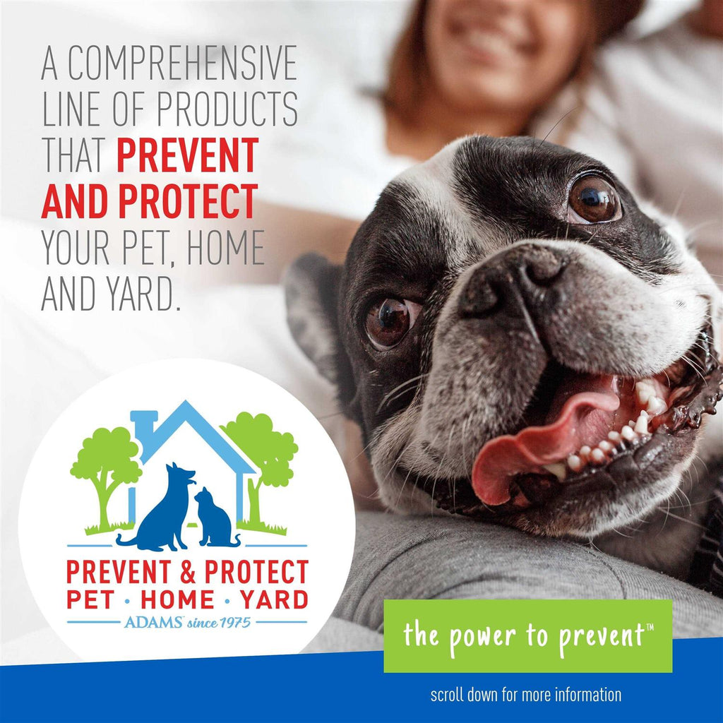 Flea Tick Shampoo for Pets k7q