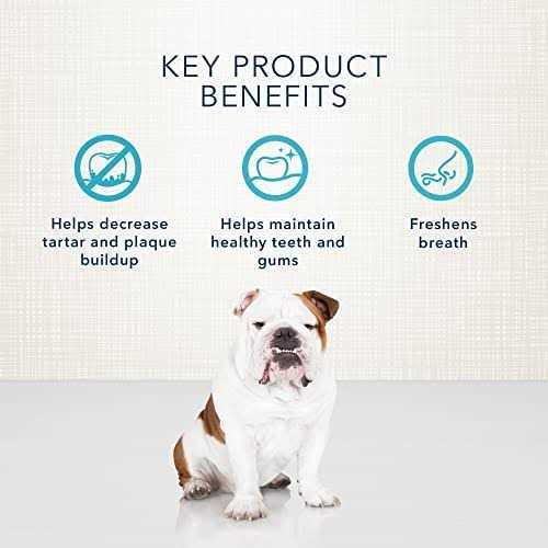 Dental Bones Dog Treats Pet Supplies a7