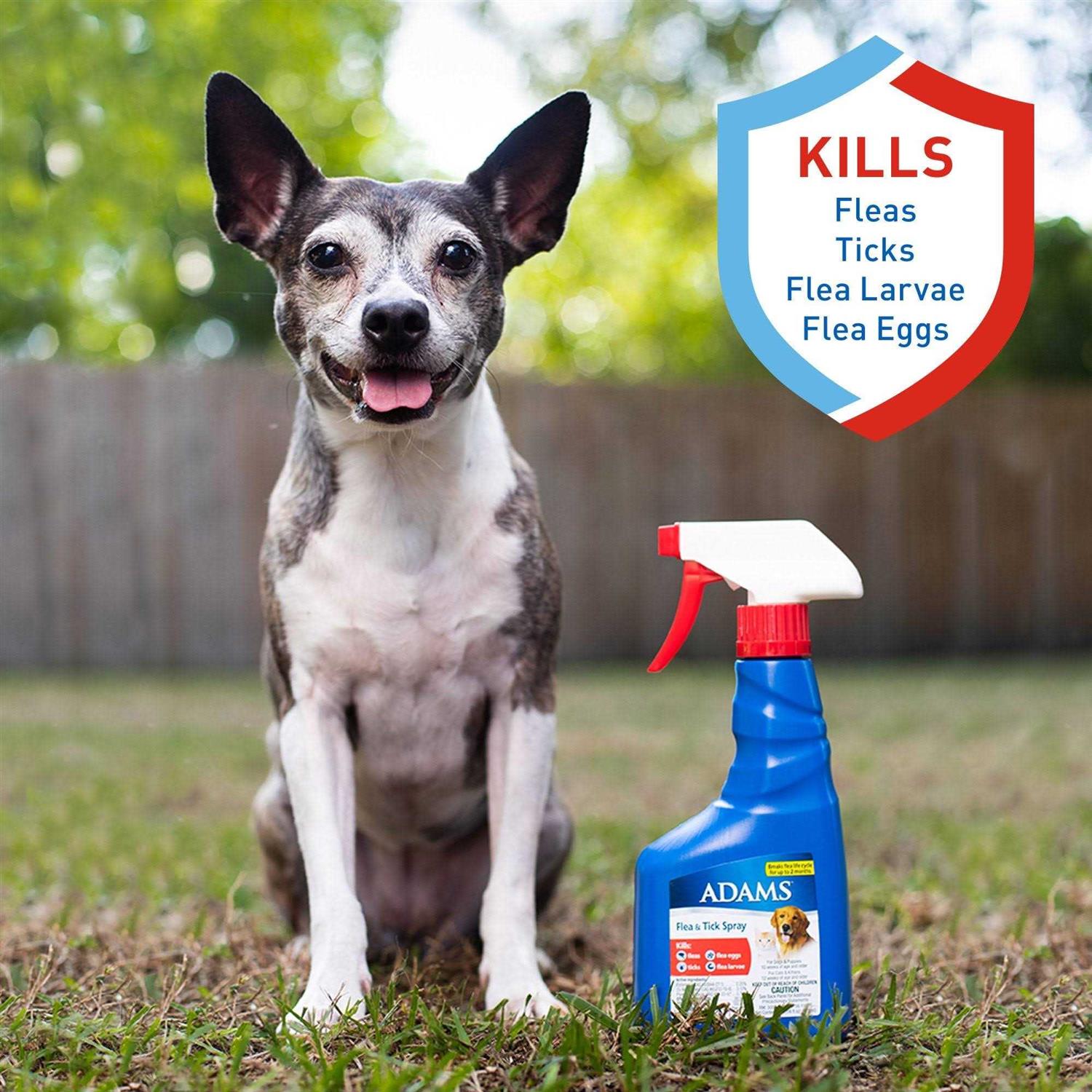 Flea Tick Spray for Pets k7m