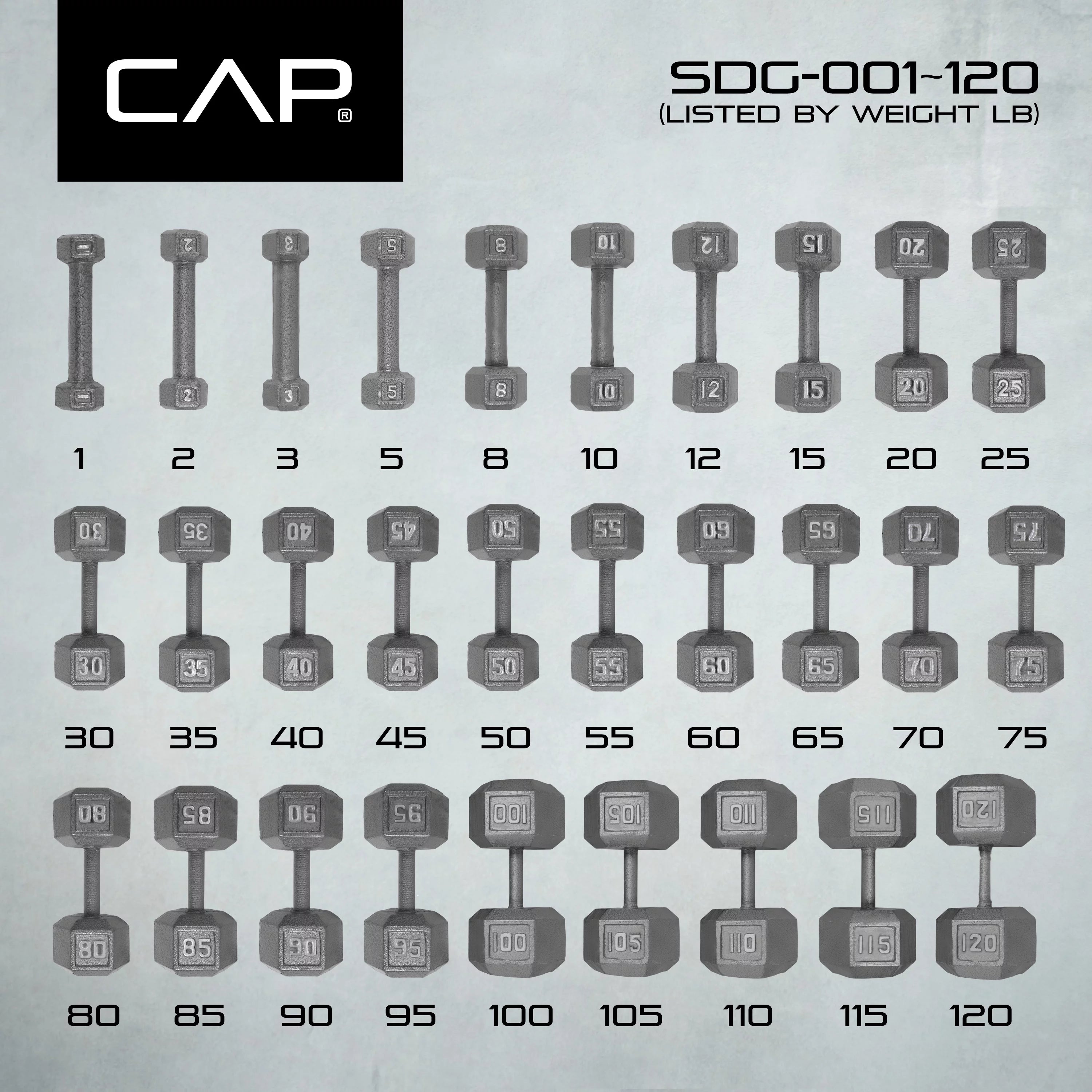 Cast Iron Hex Dumbbell 20lb a7