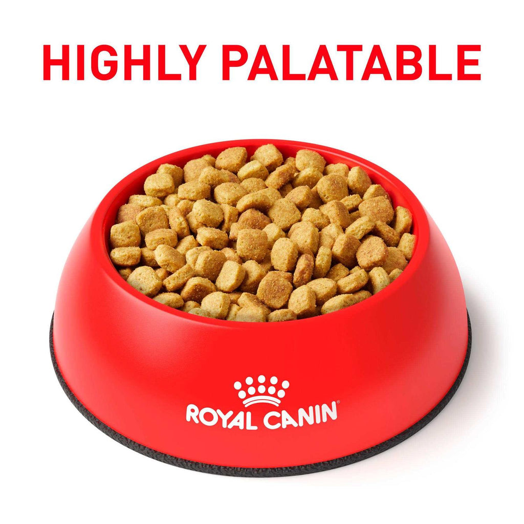 Dry Dog Food for Sensitive Digestion k7m