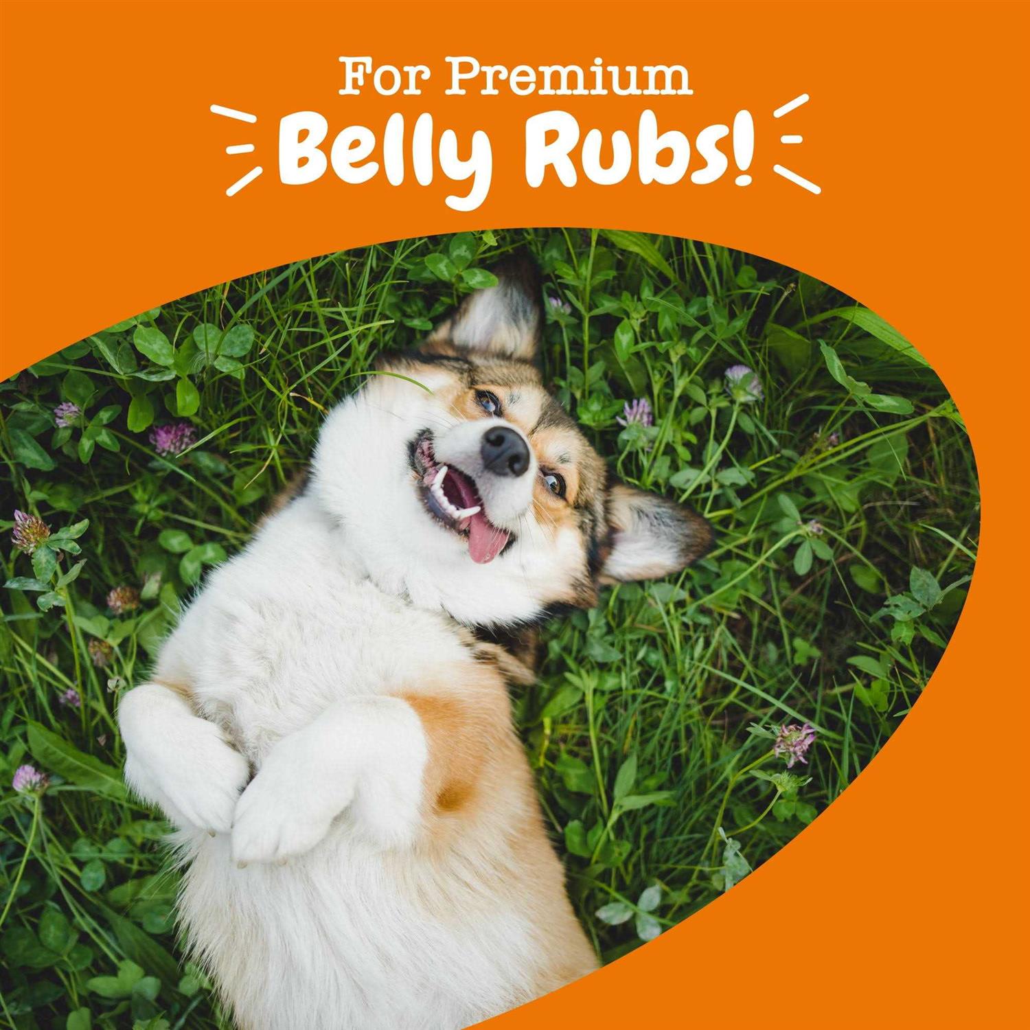 Probiotic Bites for Pets a7