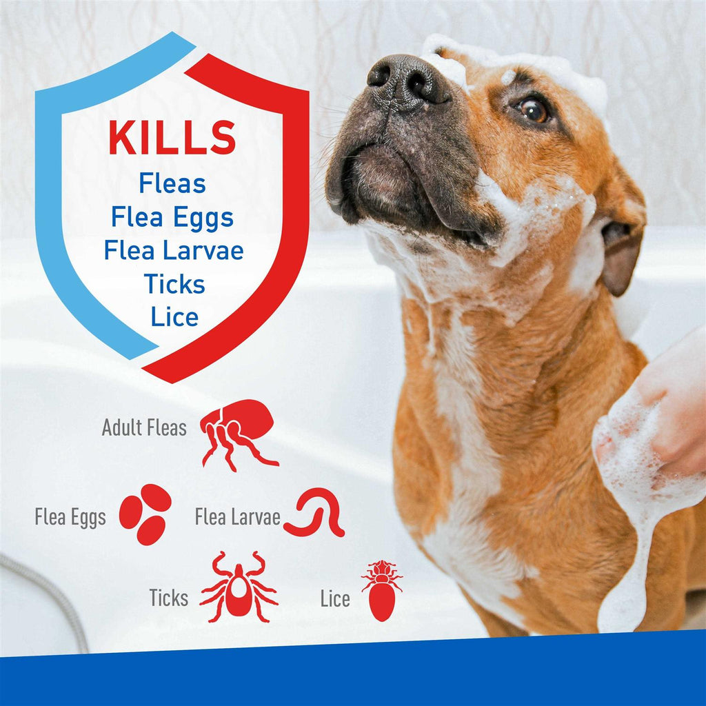 Flea Tick Shampoo for Pets k7q