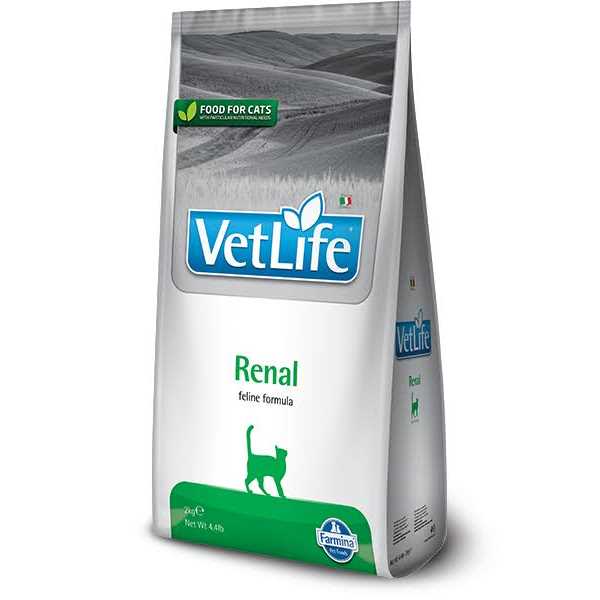 Renal Support Dry Cat Food k7p