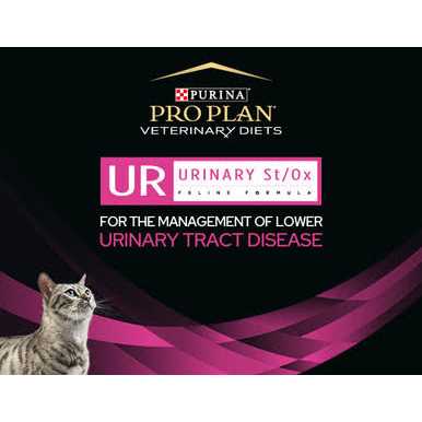 Urinary Care Wet Cat Food for Felines k7p