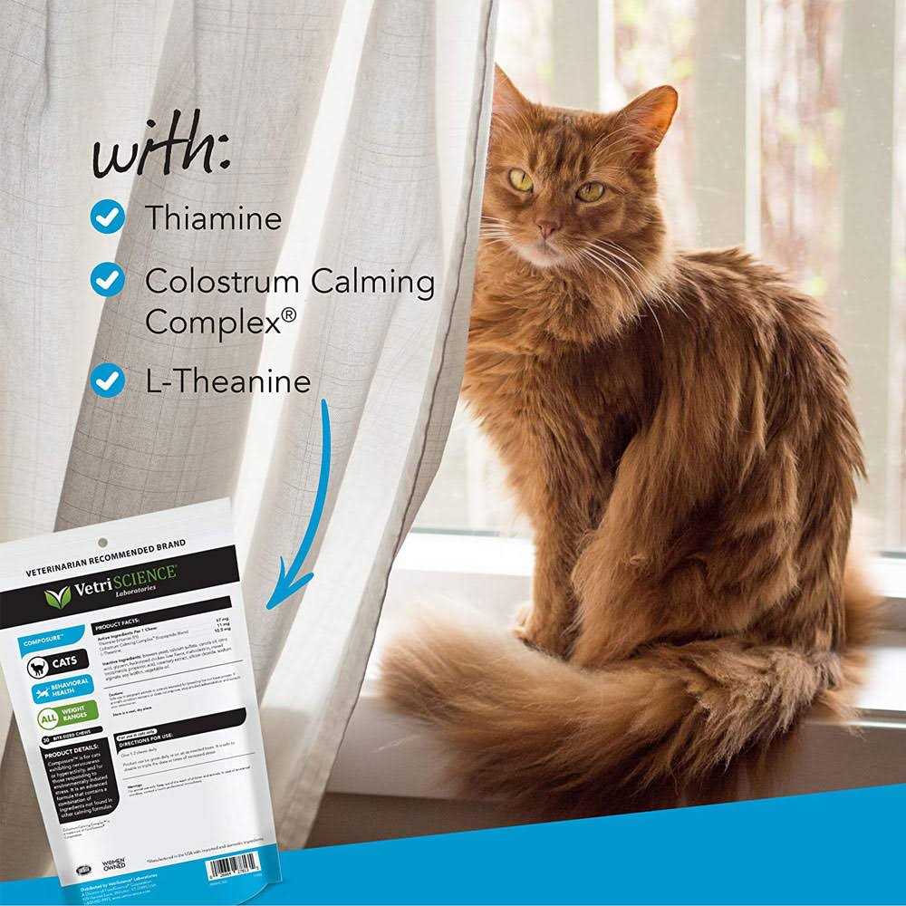Cat Calming Supplement Pet Supplies k7m