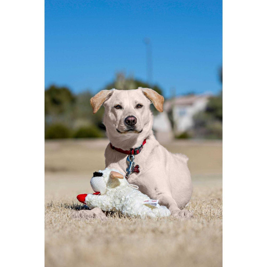 Dog Plush Squeaky Toy k7m