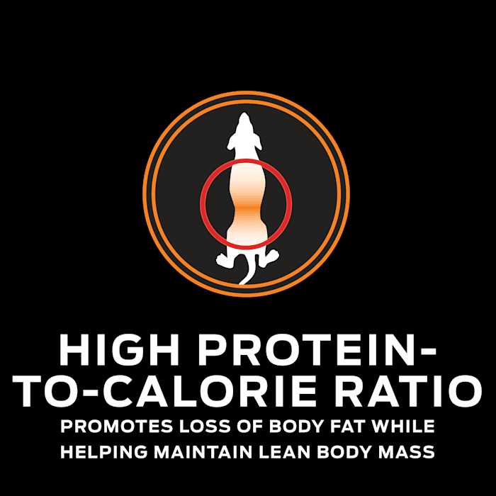 Dry Dog Food for Weight Management f7