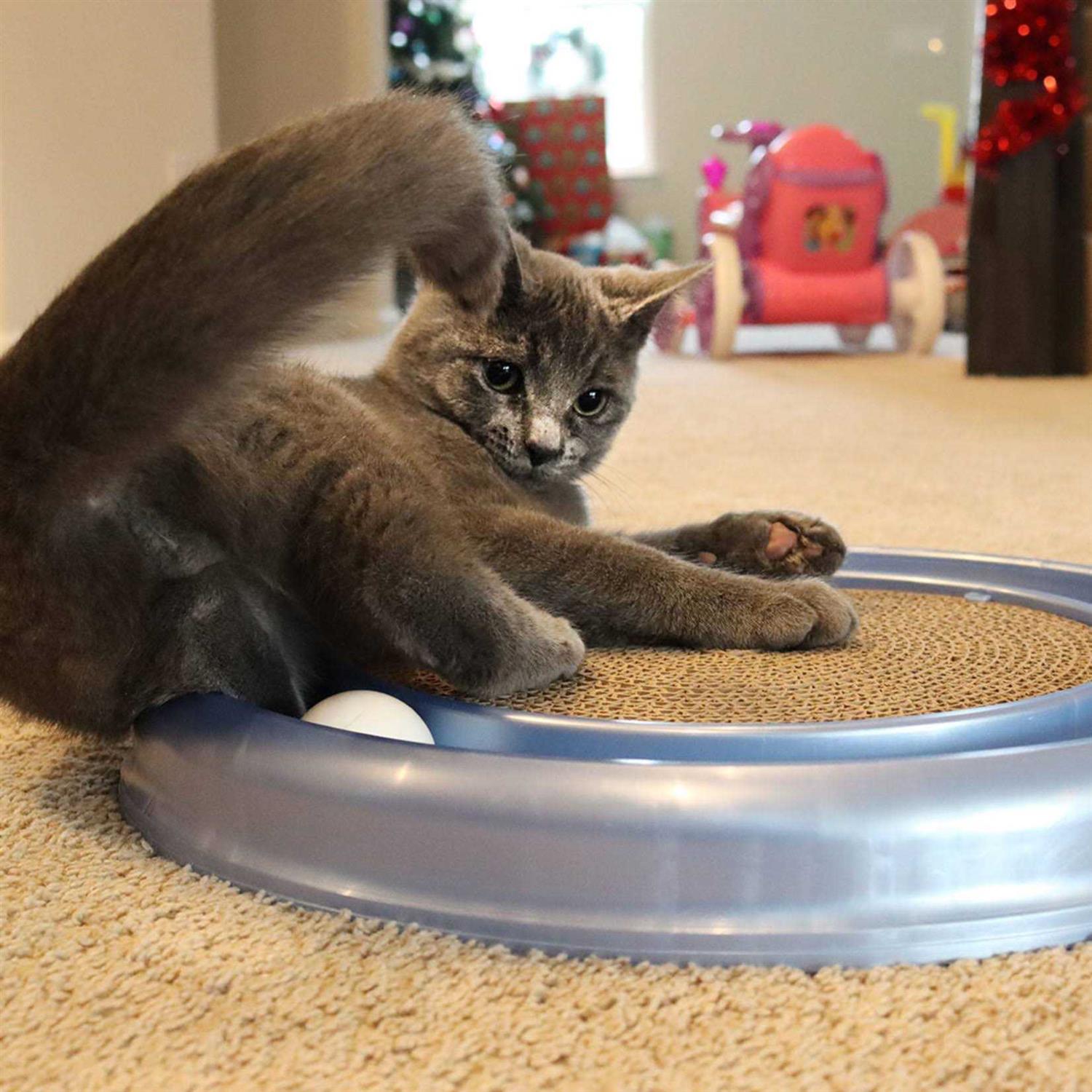 Cat Scratcher Toy with Track Ball a7