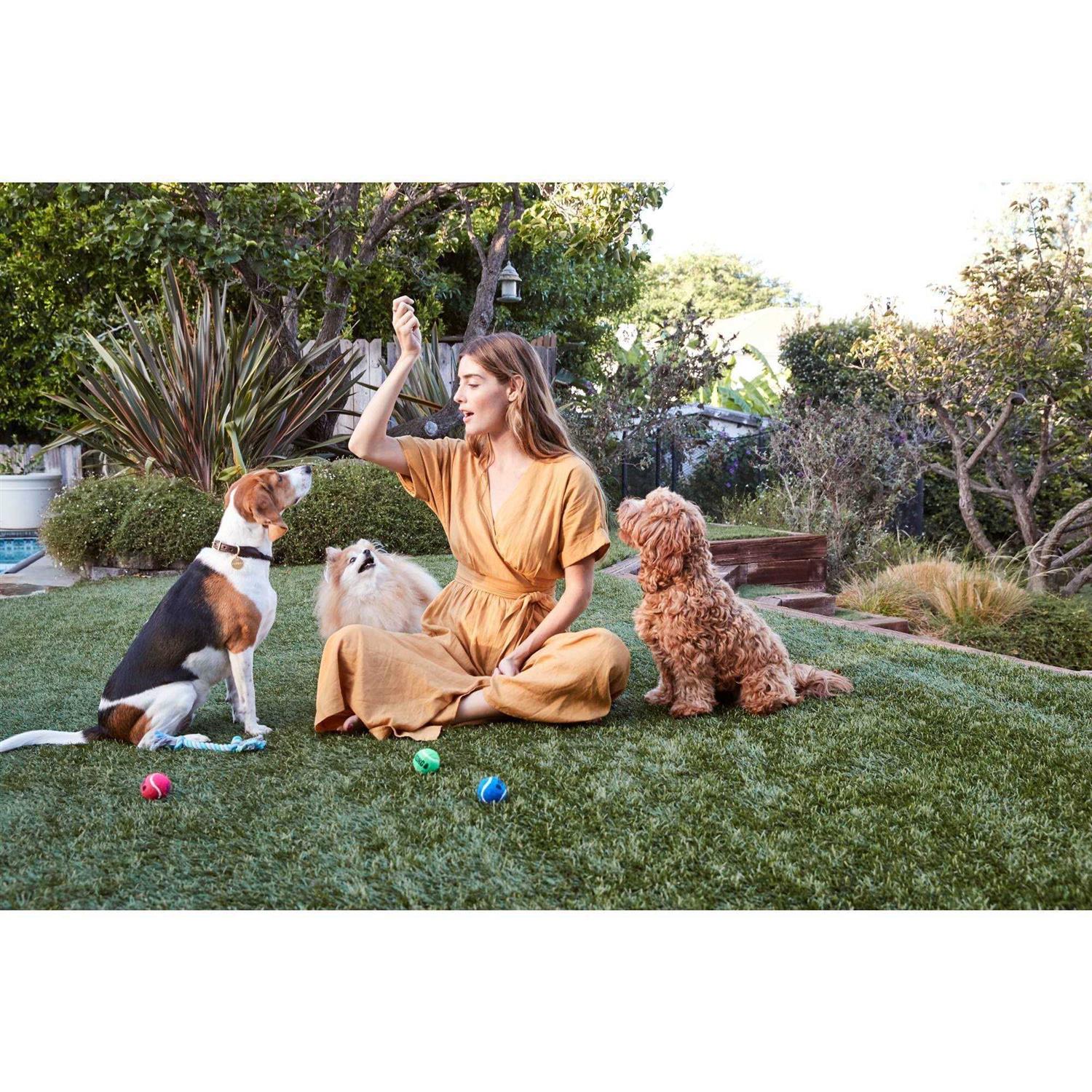Organic Chicken Jerky Dog Treats a7