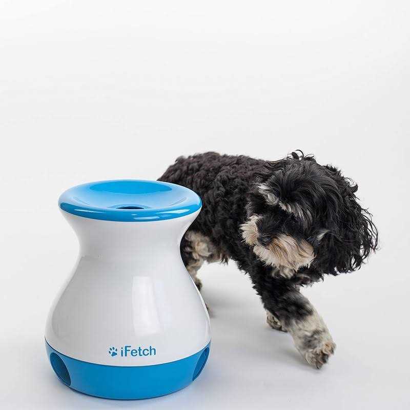 Dog Toy Interactive Fetch Game k7