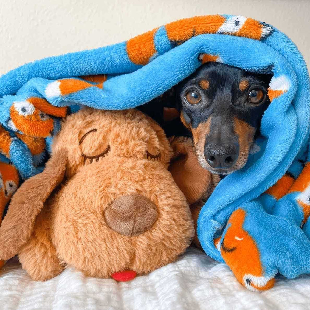 Dog Toy Brown Plush a7