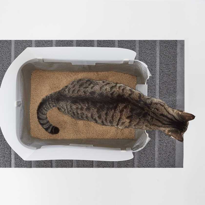 Litter Tray for Cats k7p