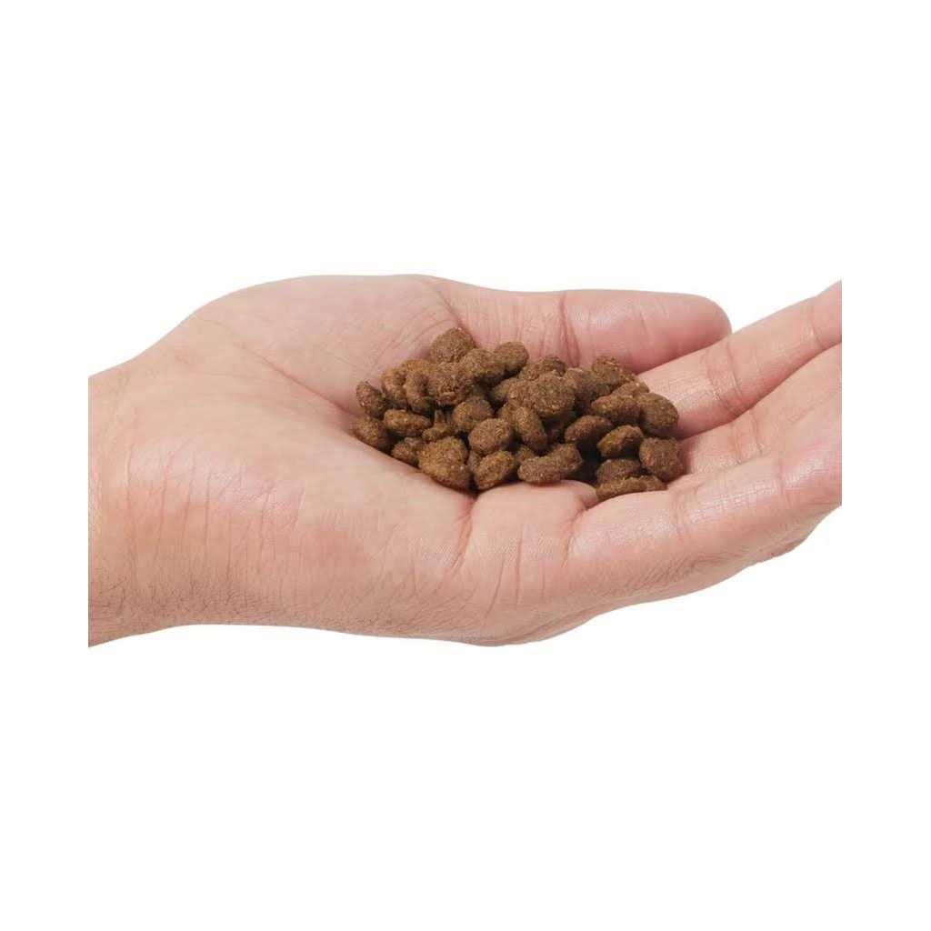 Grain Free Dry Cat Food Boar & Apple k7