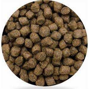 Dog Food Pet Supplies 7k