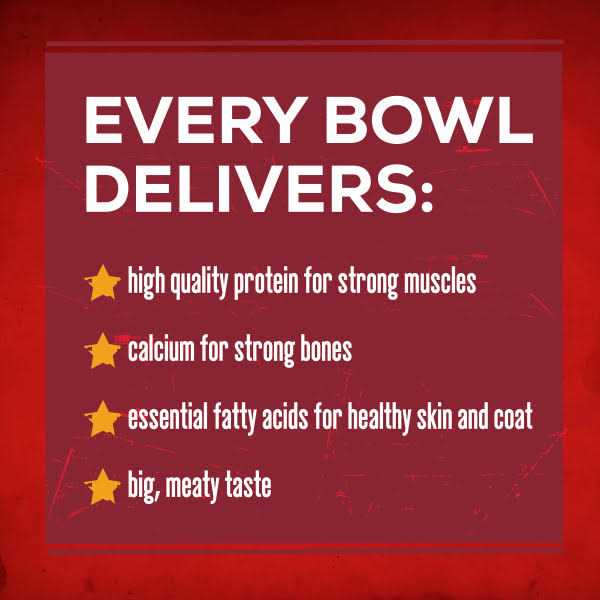 Dry Dog Food Savory Beef a7